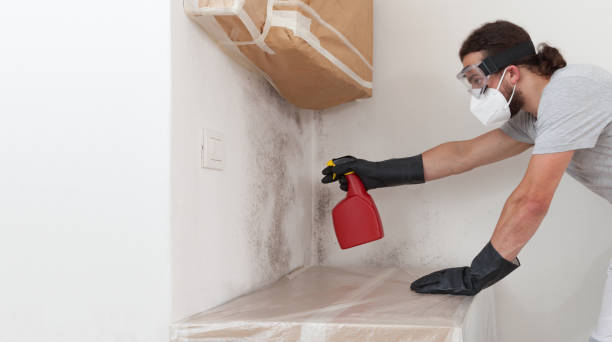 Professional Bathroom Mold Removal technician working in Boalsburg, PA